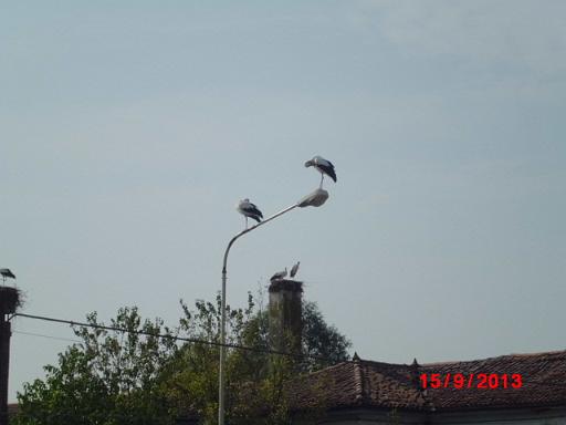 4 CIMG0463.JPG